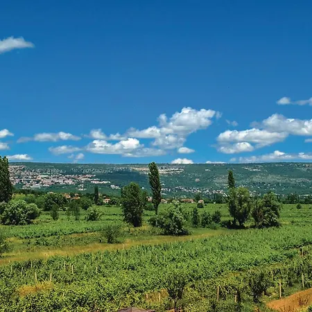 Six-bedroom In Glavina Donja *